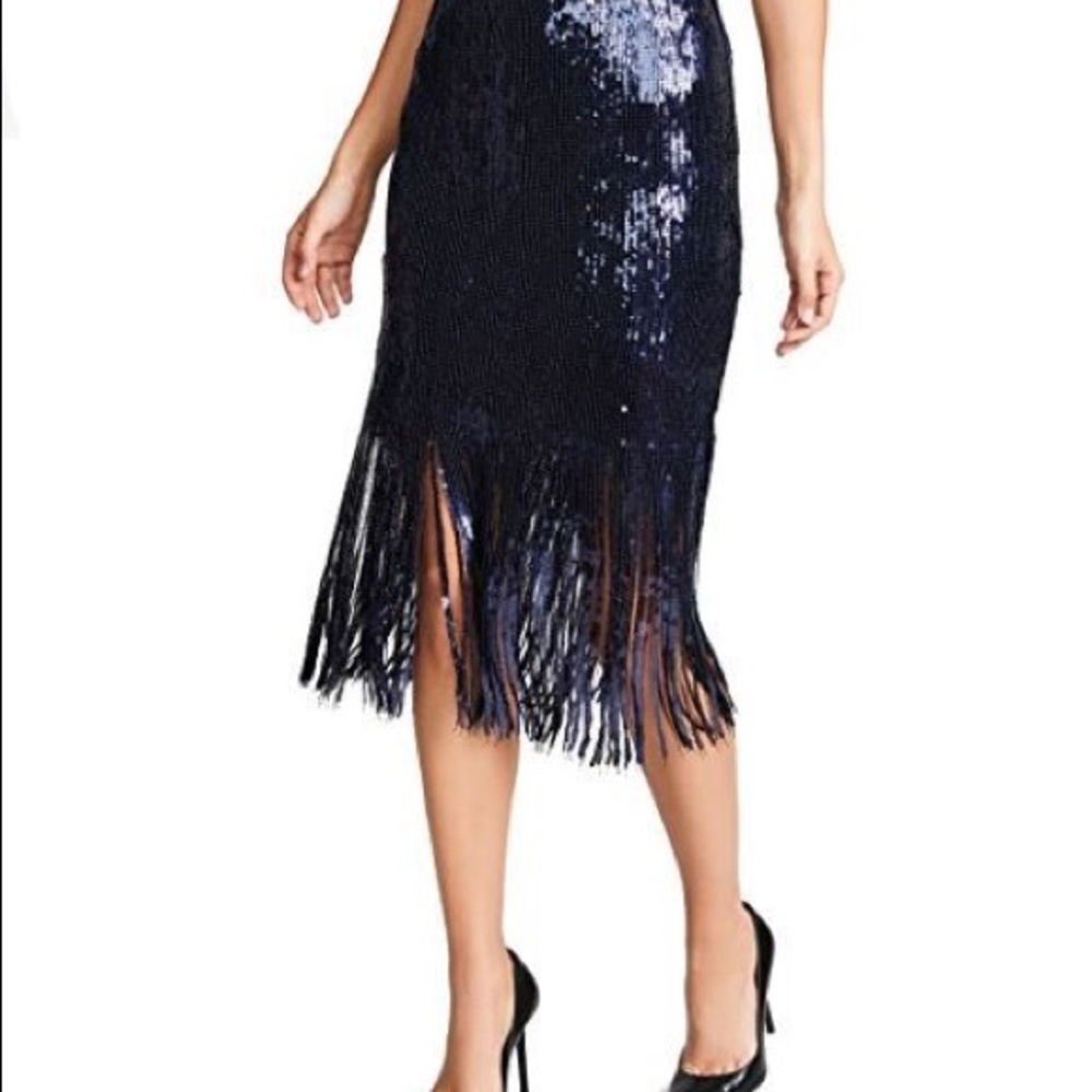 Endless Rose Sequin Fringed Skirt - Picture 6 of 8